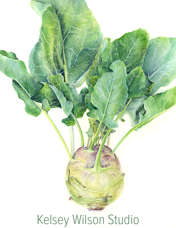 Kelsey Wilson Studio logo