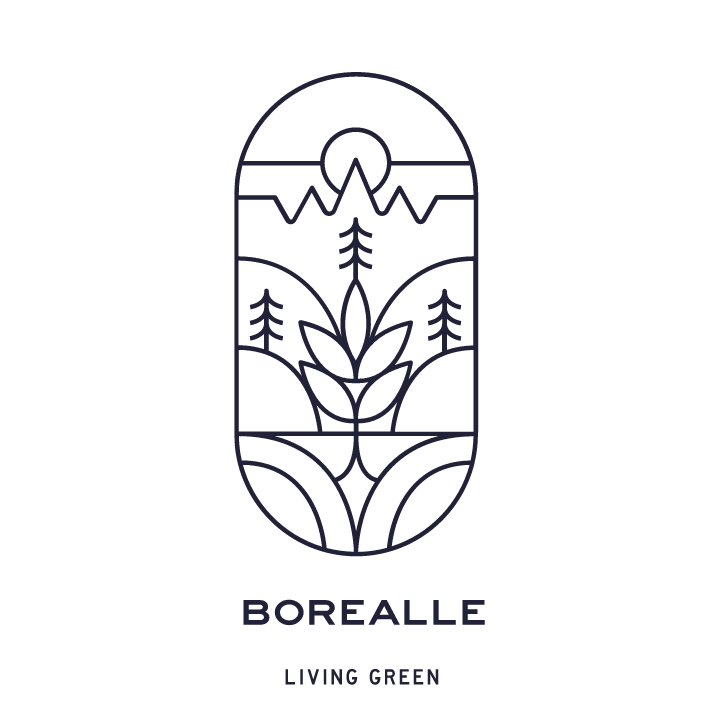 Borealle
